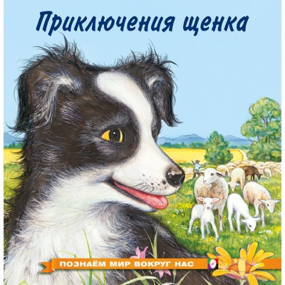 Приключения щенка. Познаем мир вокруг нас