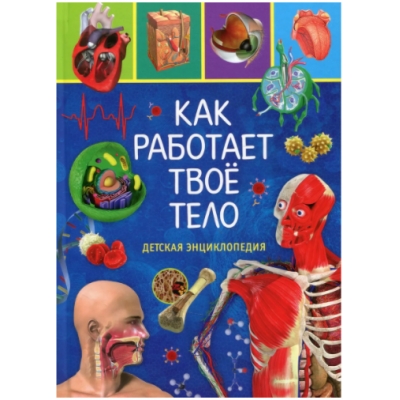 Как работает твоё тело. Детская энциклопедия