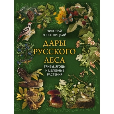 Дары русского леса. Грибы, ягоды и целительные растения