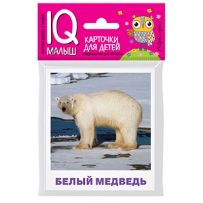 Умный малыш. Животные полярных широт. Набор карточек для детей.