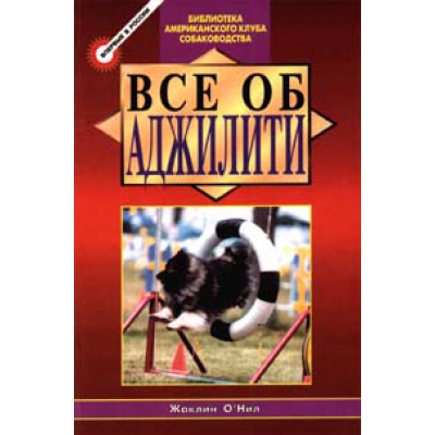 Все об аджилити