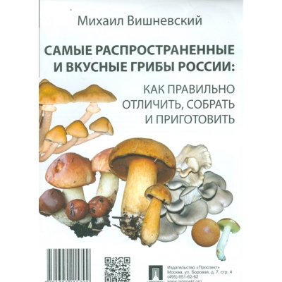 Грибы. Самые распространенные и вкусные грибы России: как правильно отличить, собрать и приготовить.