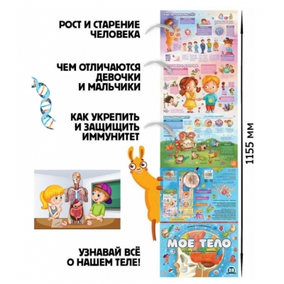 Плакат с окошками. Моё тело