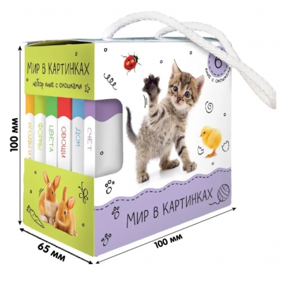 Шоубокс Мир в картинках 6 книг с окошками