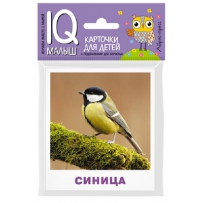 Умный малыш. Птицы