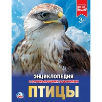 Птицы (Энциклопедия А4 с развивающими заданиями)