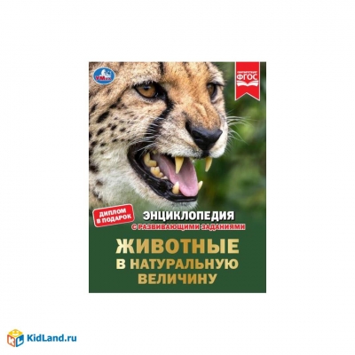 Животные в натуральную величину. Энциклопедия с развивающими заданиями