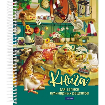 Книга для записи кулинарных рецептов А5 80л. Котики бывают разными, спираль, 7БЦ, офсет 80г/м2, обло