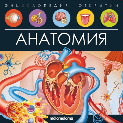 Анатомия (Энциклопедия открытий)
