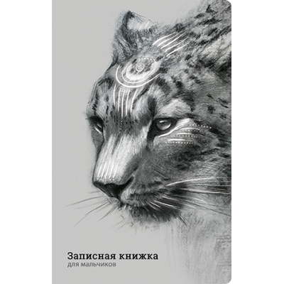 Записная книжка для мальчиков А5 56л. Ирбис, скрепка, линия, Софт тач с выборочным УФ-лаком