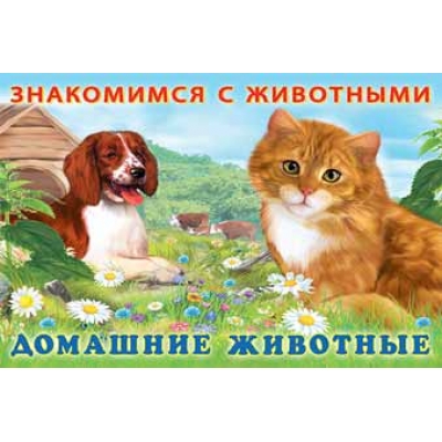 Знакомимся с животными. Домашние животные