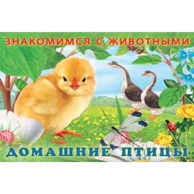 Знакомимся с животными. Домашние птицы
