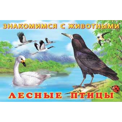 Знакомимся с животными. Лесные птицы