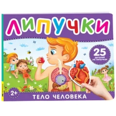 Тело человека. Книга с липучками