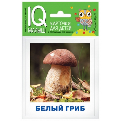 Умный малыш. Грибы наших лесов. Набор карточек для детей.