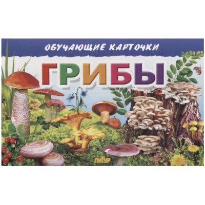 Обучающие карточки. Грибы (16 карточек)