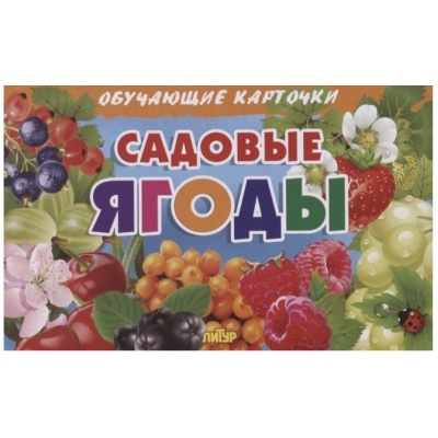 Обучающие карточки. Садовые ягоды (16 карточек)